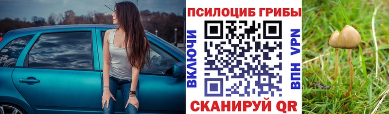 Галлюциногенные грибы Magic Shrooms Чердынь